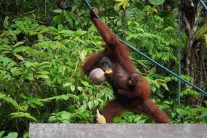 Dia FEST no.15 - festival popotništva in popotne fotografije - 9608.jpg