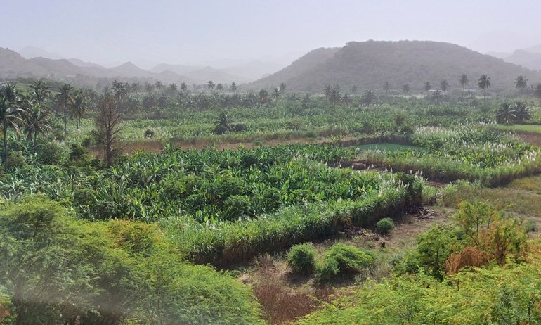 Zelenortski otoki, od otoka do otoka - 9759.jpg