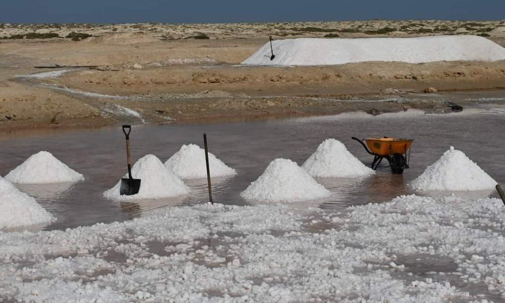 Zelenortski otoki, od otoka do otoka - 9794.jpg