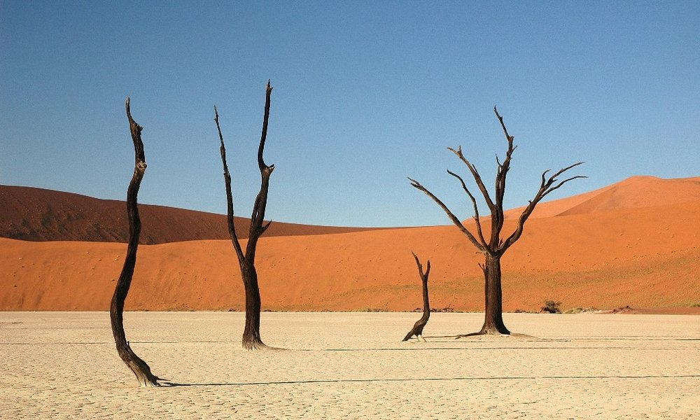 Namibija L, z jeepi - 9834.JPG