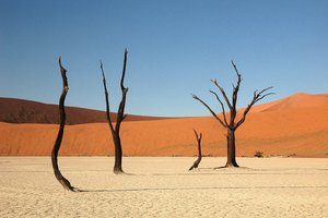 Namibija L, z jeepi - 9834.JPG