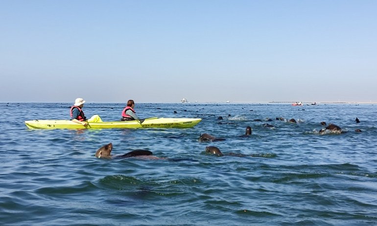 Namibija L, z jeepi - 9837.jpg