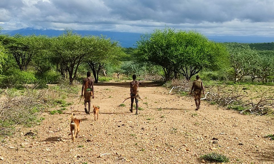 TanzanijaL: lov s Hadzabami, trek z Masaji, safari in Zanzibar - 9945.jpg