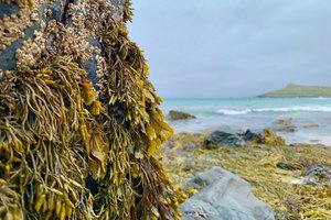 Irska, Guinness, blog - 9980.jpg