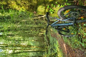 Irska, Guinness, blog - 9985.jpg