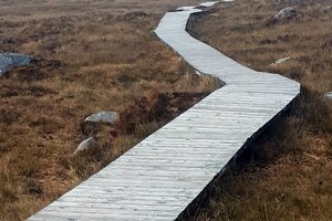 Irska, Guinness, blog - 9986.jpg