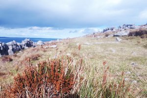 Irska, Guinness, blog - 9987.jpg