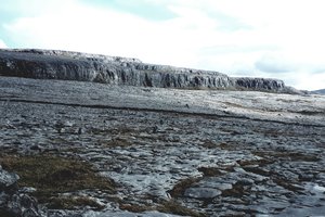 Irska, Guinness, blog - 9988.jpg