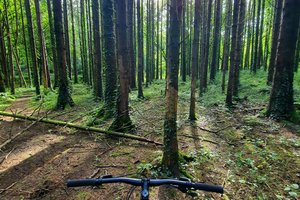 Irska, Guinness, blog - 9999.jpg