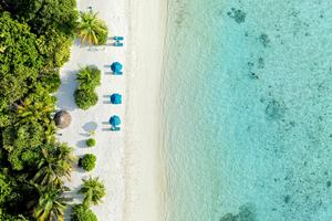 Maldivi Canareef