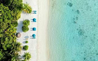Maldivi Canareef