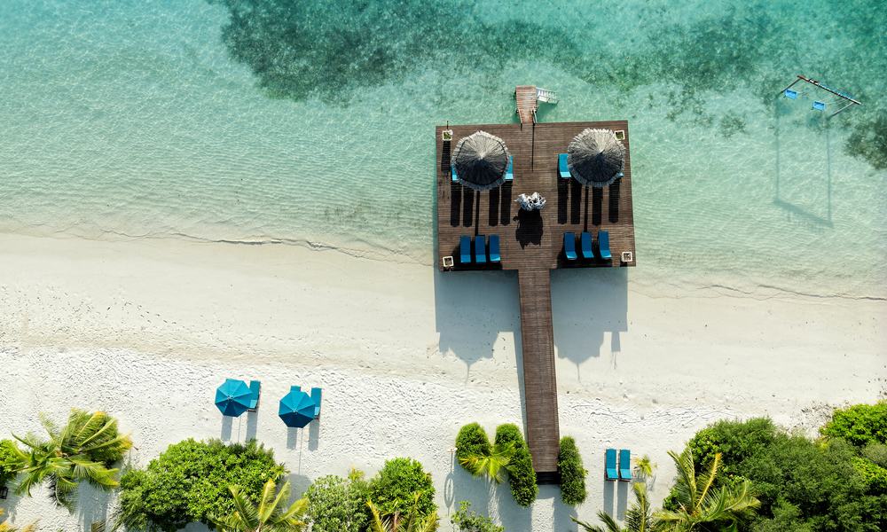 Maldivi Canareef