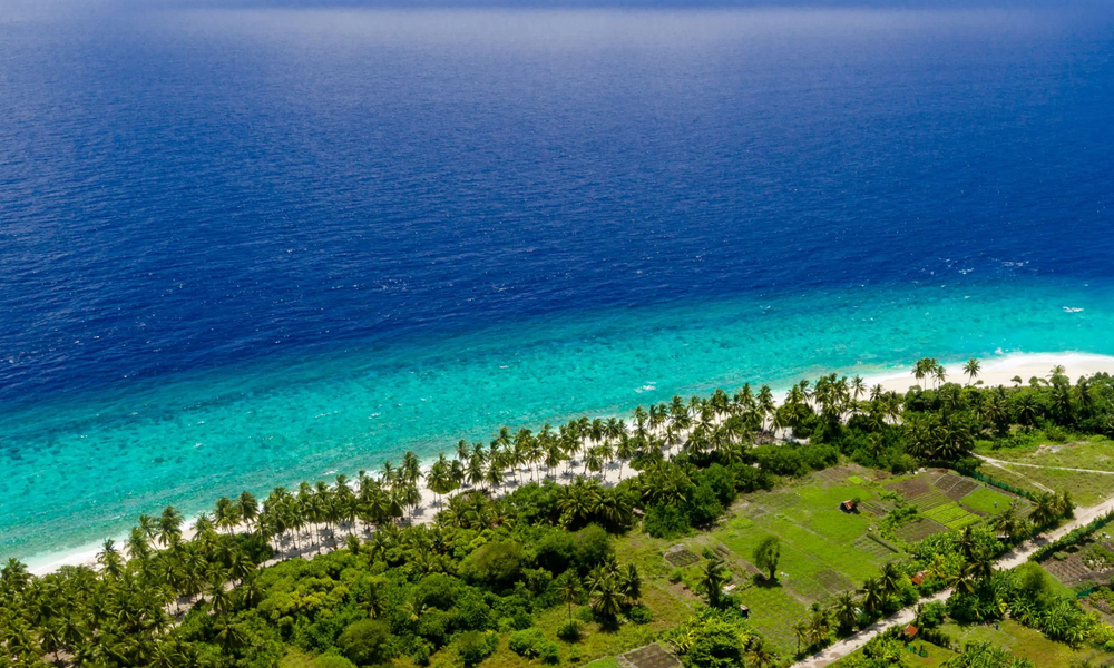 DJI_0319_stitch-fascopy-scaled