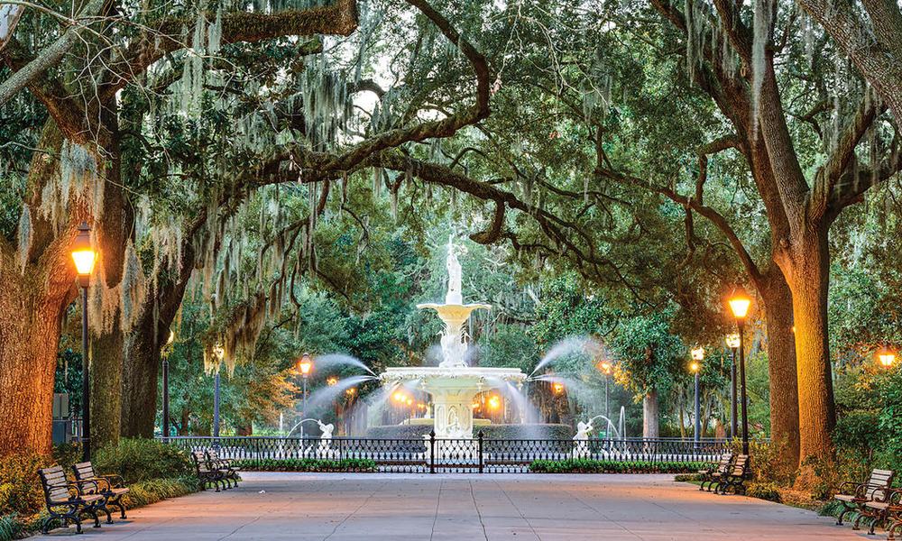savannah