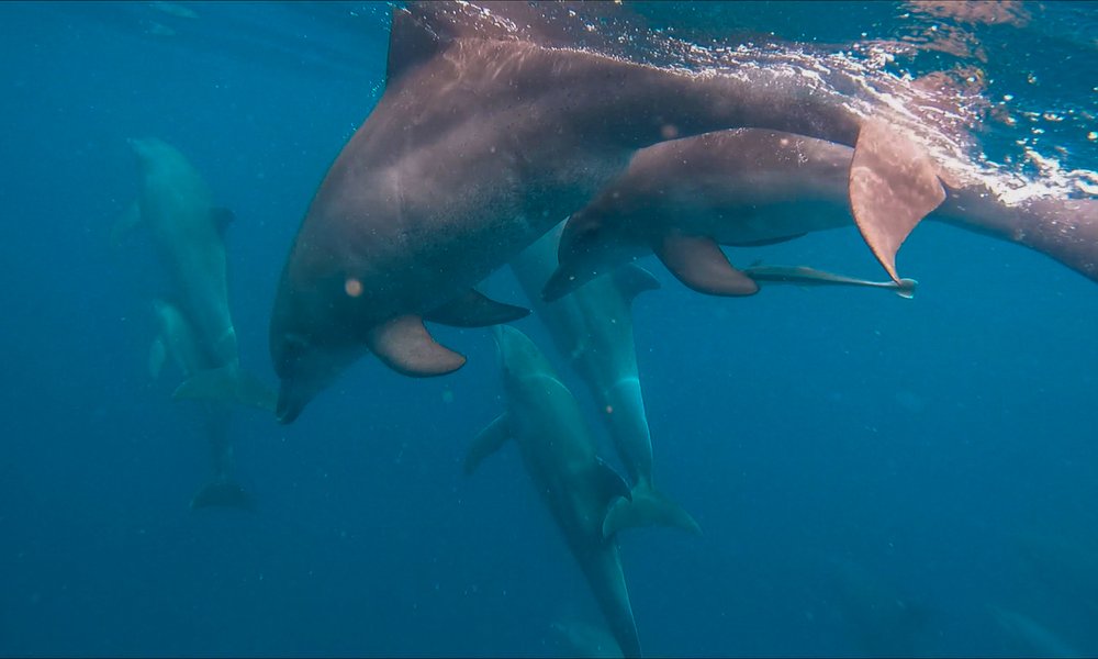 GH010101_1614154904990