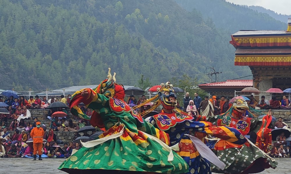 IMG_20251029_121248_4