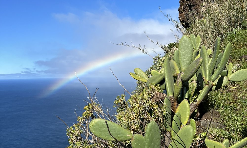 Madeira, za družine 3