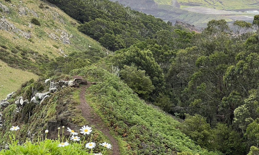 Madeira, za družine 6