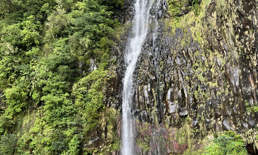 Madeira, za družine 12
