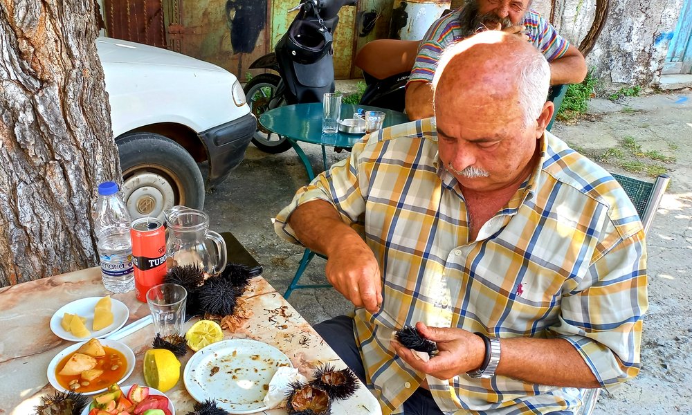 KretaXpress_novaspletna (11)