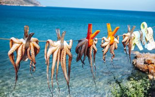 KretaXpress_novaspletna (18)