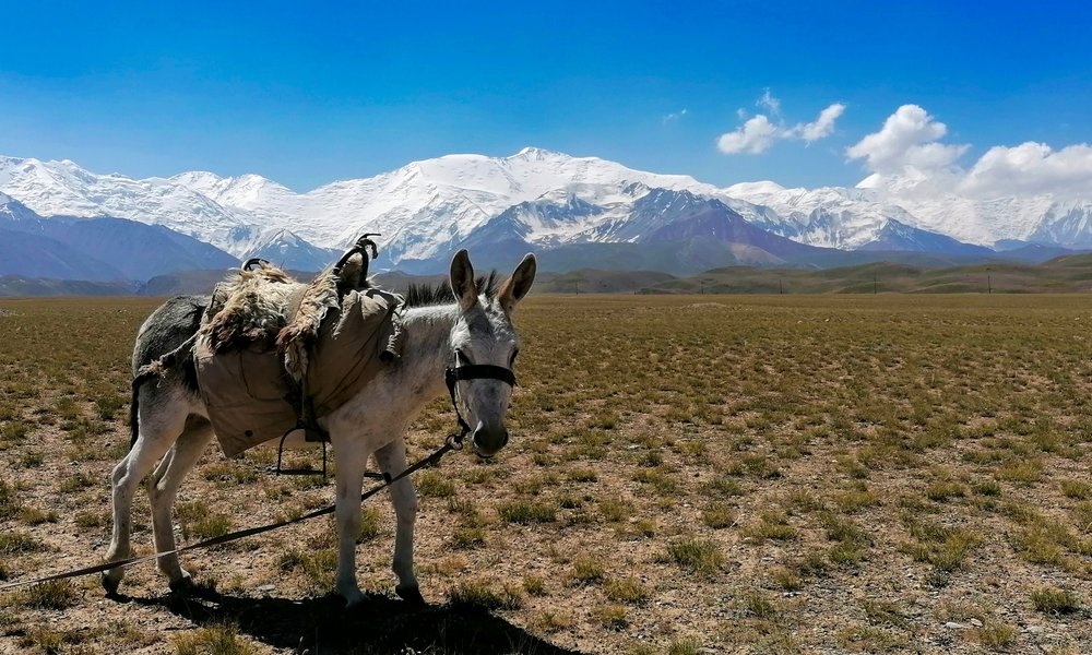 LRM_EXPORT_43587732195431_20190811_171124579