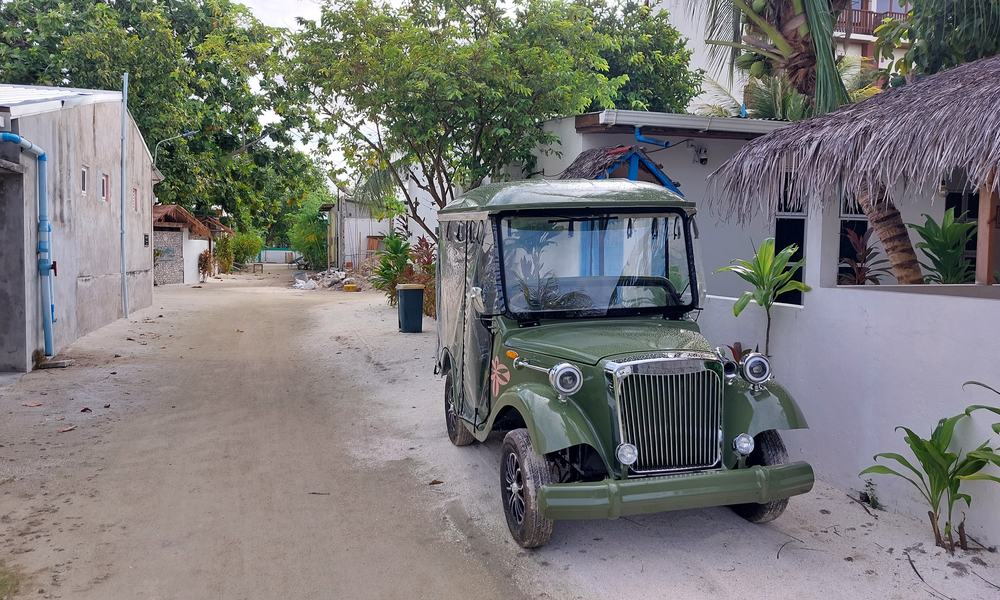 Maldivi c