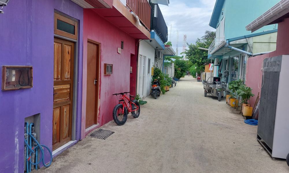 Maldivi d