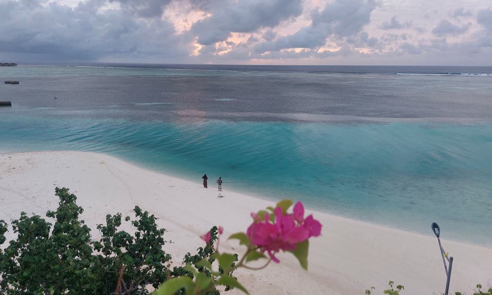 Maldivi f