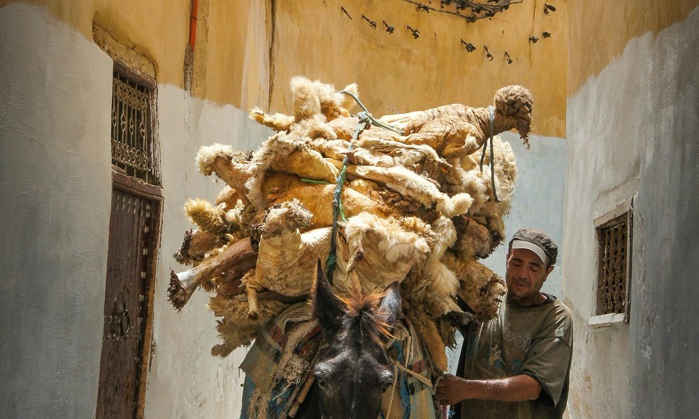 Maroko_novaspletna (135)