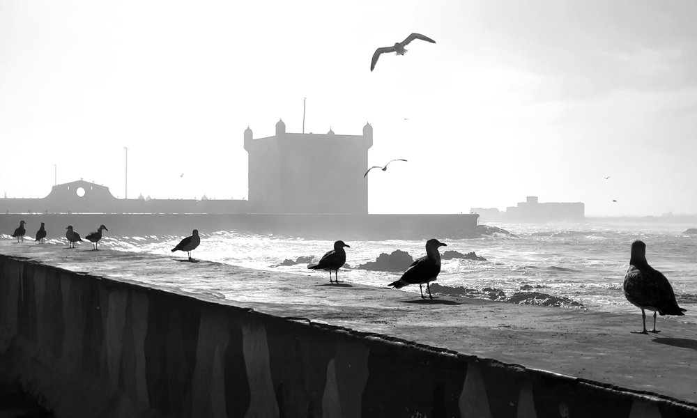 Maroko_novaspletna (74)