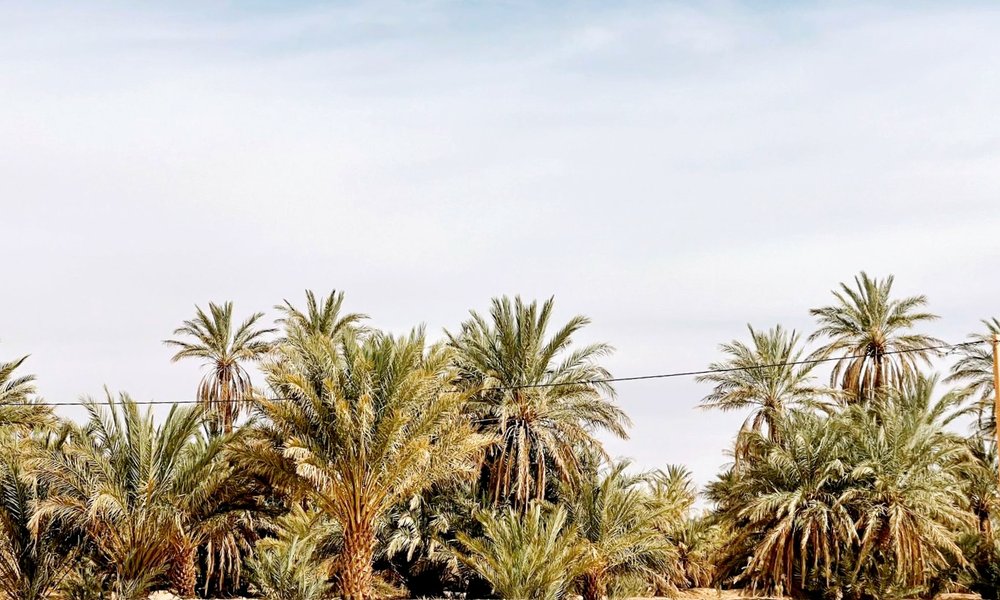 Maroko_novaspletna (94)