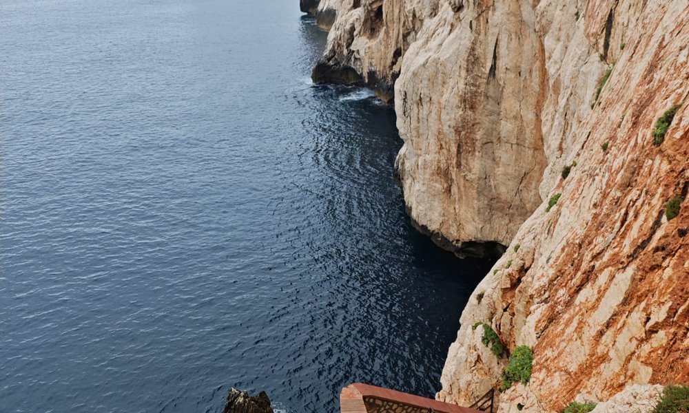 PHOTO-2024-05-21-09-38-30 3