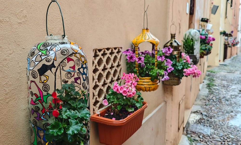 PHOTO-2024-05-21-09-38-34 2