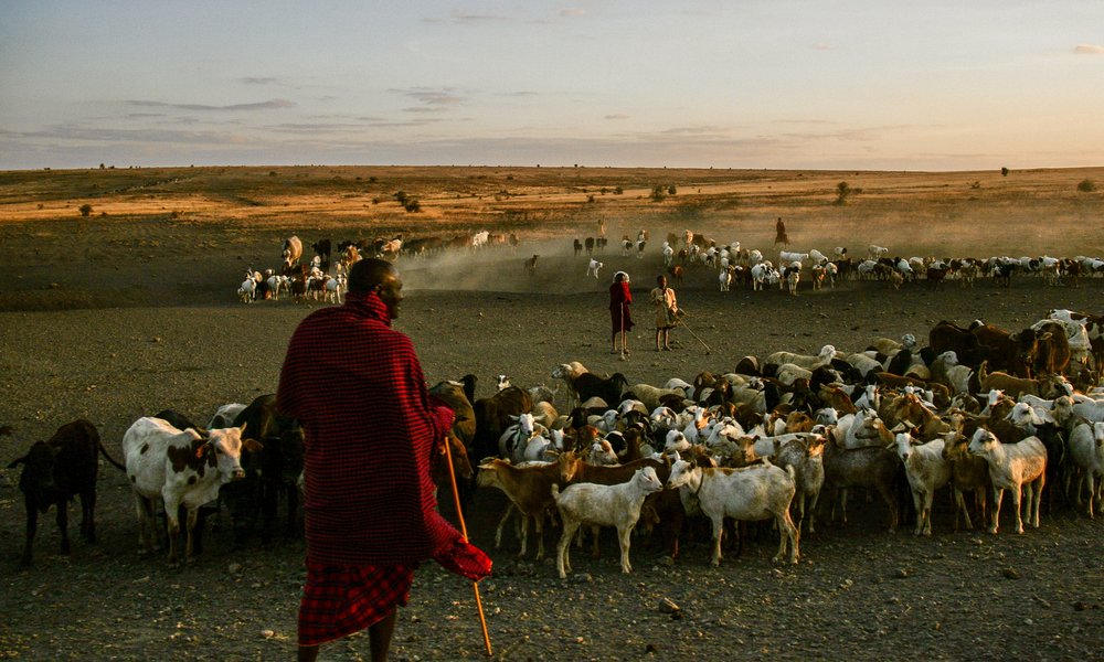 Photo 2. 08. 12, 09 21 09