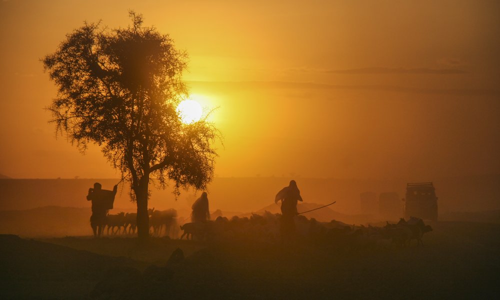 Photo 2. 08. 12, 09 29 41