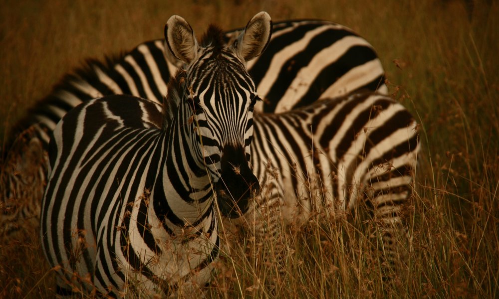 Photo 29. 07. 12, 22 33 24