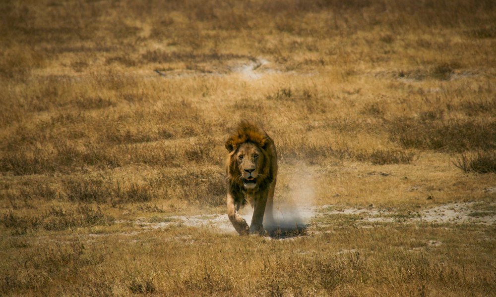 Photo 3. 08. 12, 04 23 54