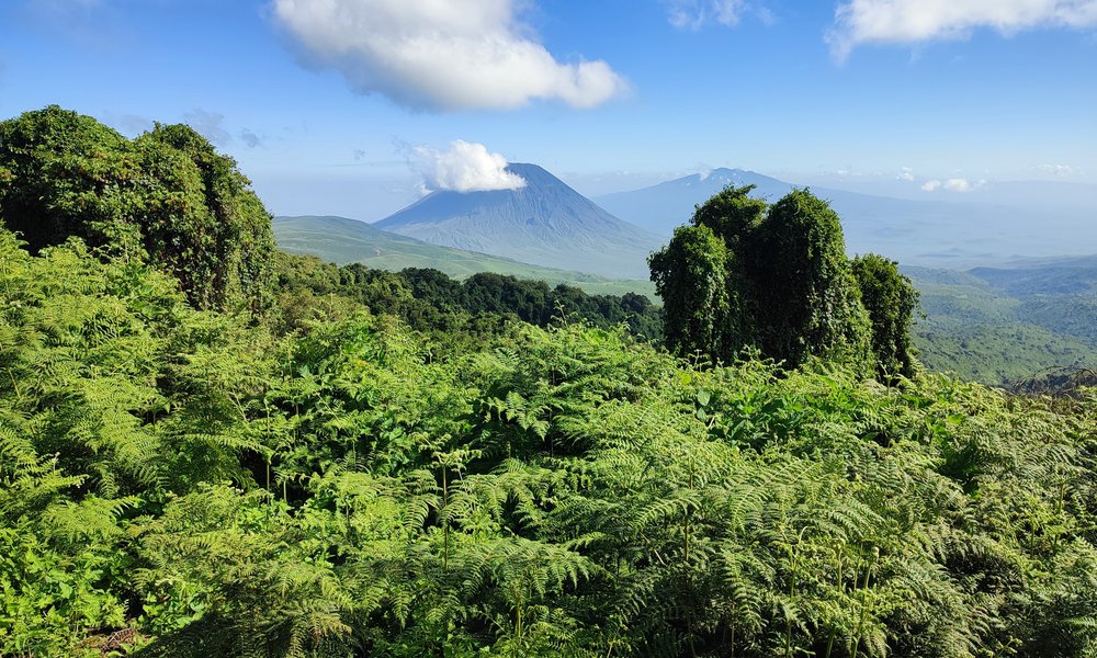 Photo 5. 01. 23, 09 41 18