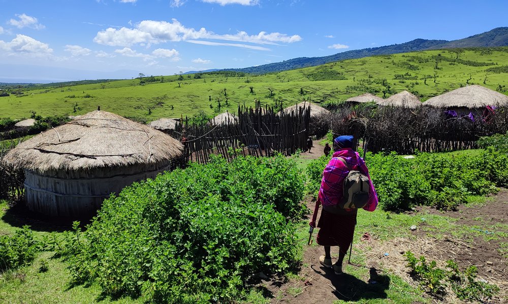 Photo 5. 01. 23, 11 32 22