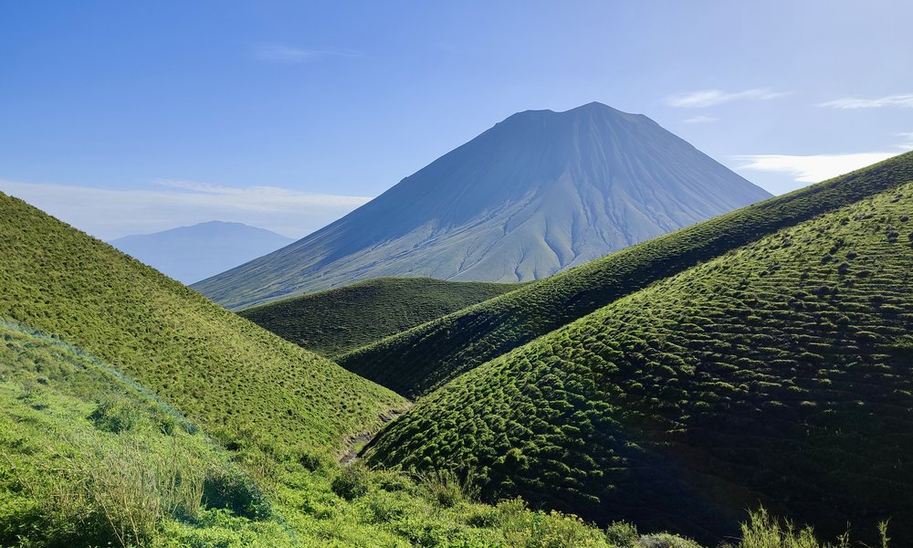 Photo 6. 01. 23, 08 47 31