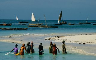 Photo 7. 08. 12, 07 27 37