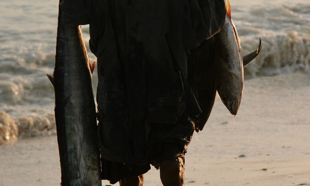 Photo 7. 08. 12, 22 10 52