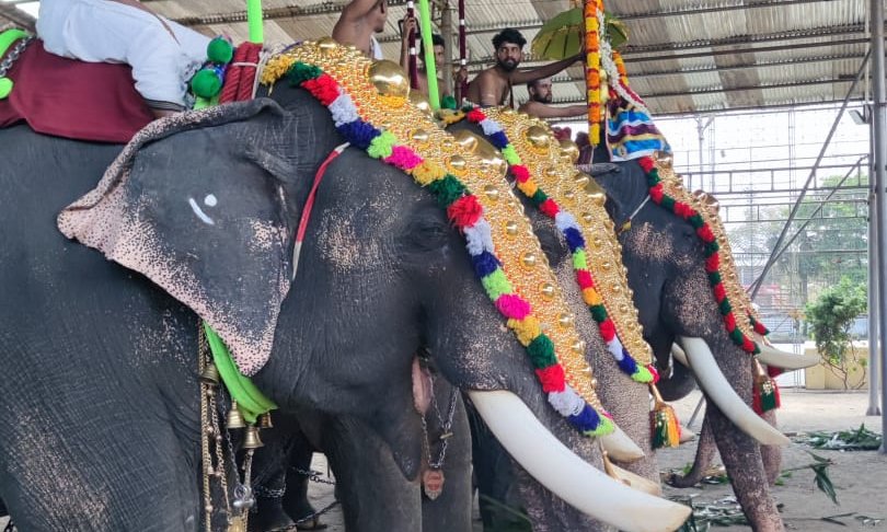 WhatsApp Image 2024-10-29 at 10.23.43