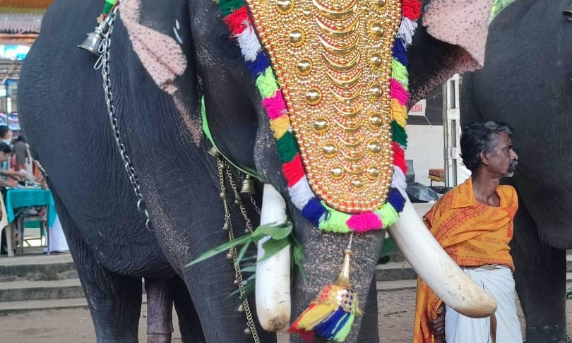 WhatsApp Image 2024-10-29 at 10.23.43 (1)