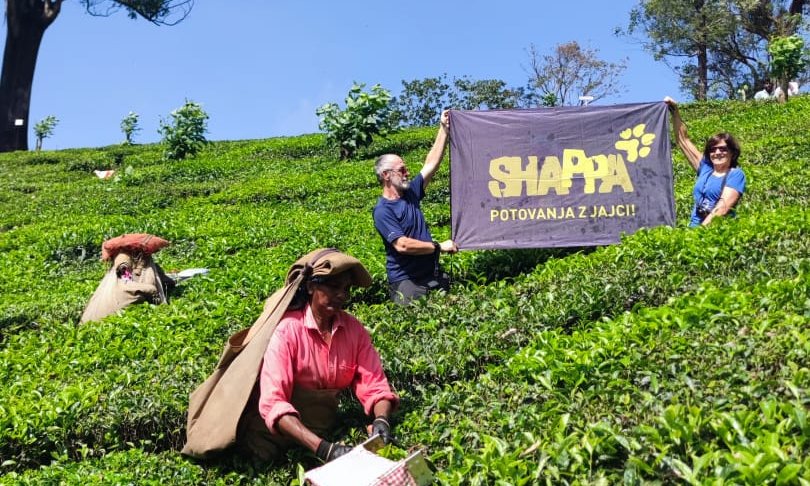 WhatsApp Image 2024-10-30 at 06.33.03 (1)