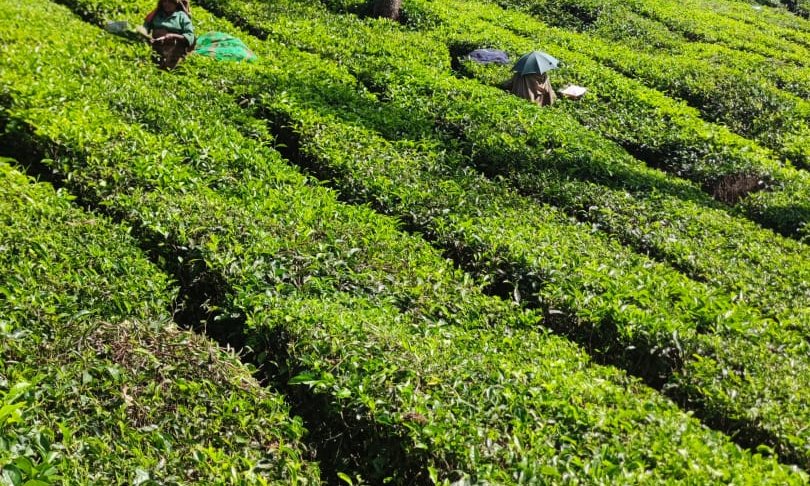 WhatsApp Image 2024-10-30 at 06.33.03