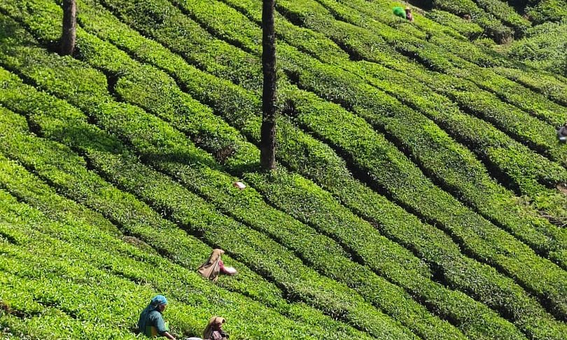 WhatsApp Image 2024-10-30 at 06.33.04 (1)