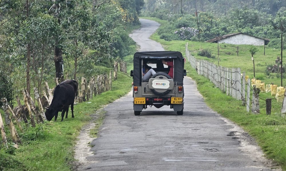 WhatsApp Image 2024-10-30 at 16.37.25 (4)