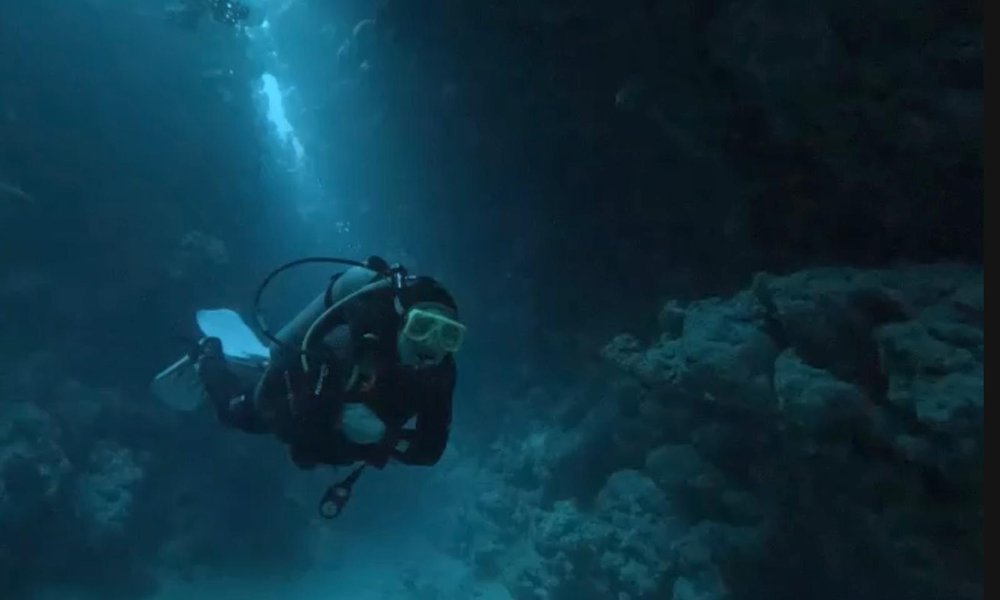 WhatsApp Image 2025-01-03 at 10.07.17_7da55044